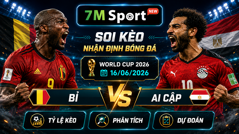 Đội hình dự kiến trước trận Bỉ vs Ai Cập Đội hình dự kiến trước trận Bỉ vs Ai Cập